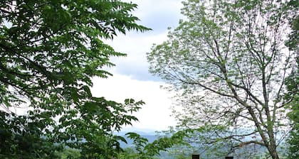 Kauniit vuoristomaisemat, runsaasti villieläimiä ja lähellä kaupunkia!