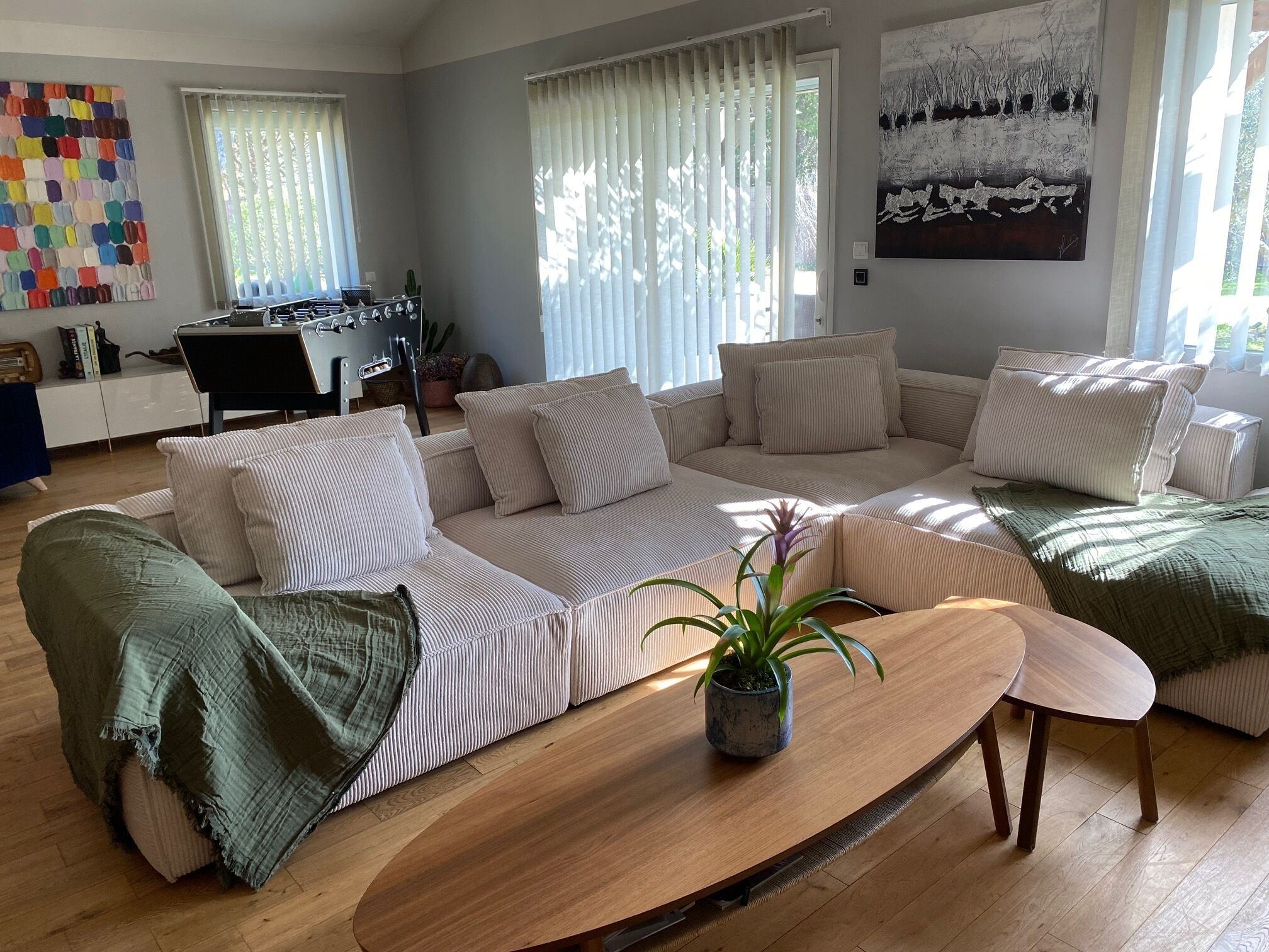 A living room with a sofa, a coffee table, and a potted plant.