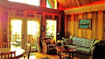 Smart TV, fireplace, DVD player, video library