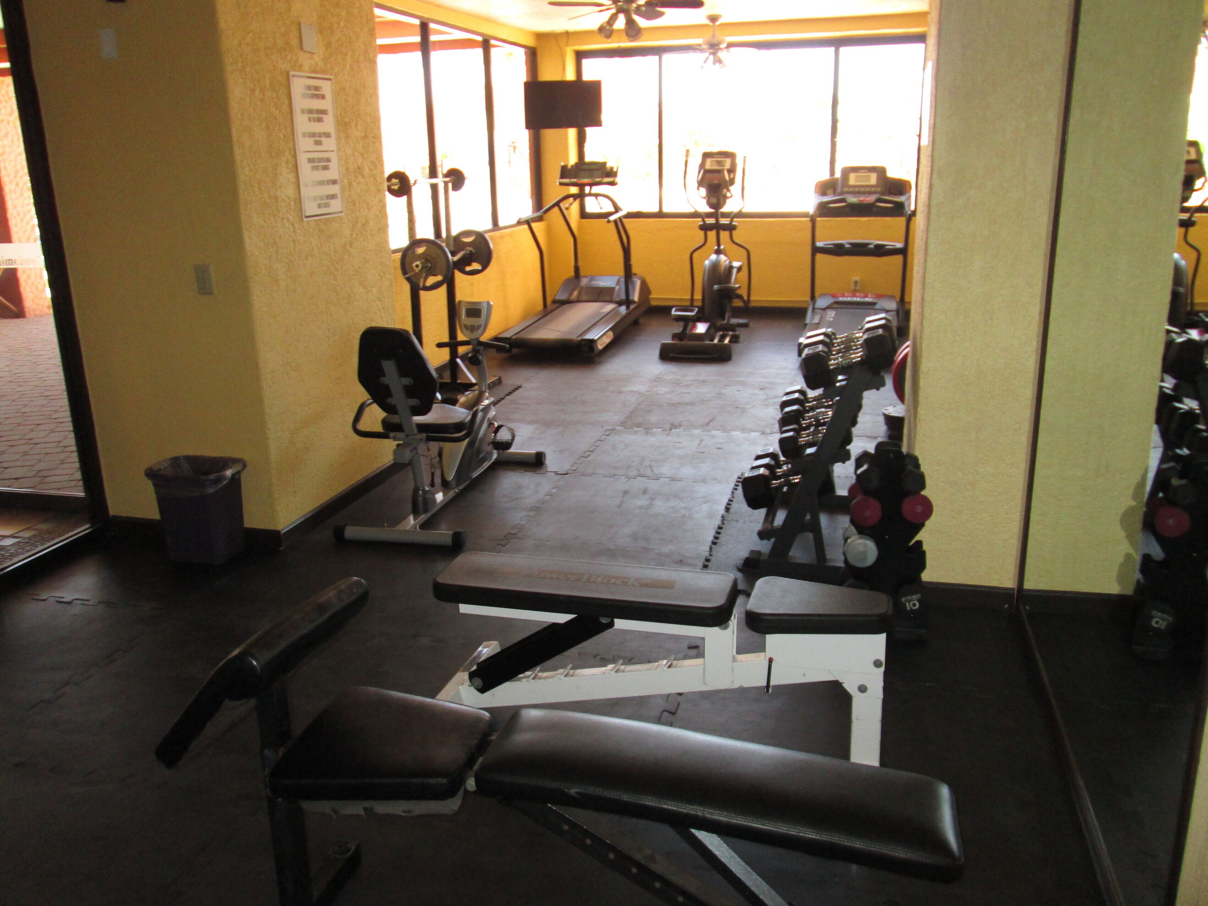 Una palestra con diverse attrezzature per l'allenamento, tra cui tapis roulant, macchinari per pesi e manubri.