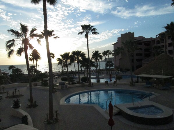 A resort pool area with palm trees, a pool, and a view of the ocean.