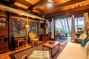 Smart TV, DVD player, books, stereo