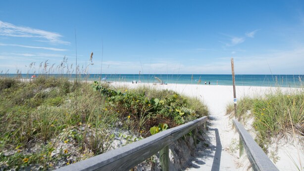 A beach path leading to a sandy beach with clear skies.