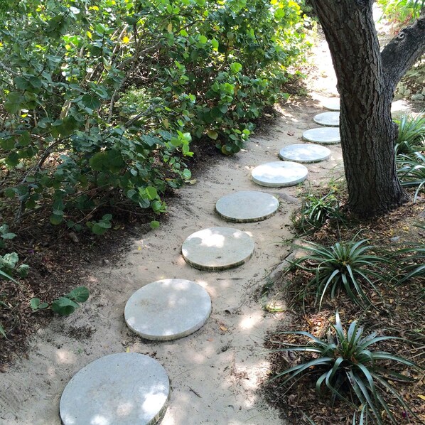 A garden path with stepping stones and greenery.