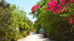 Un sentier qui traverse un jardin luxuriant, parsemé de fleurs roses.