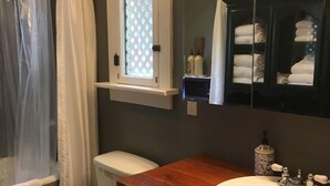 A bathroom with a toilet, a sink, a mirror, and a shower curtain. - The Rohde Guest House (St Augustine)