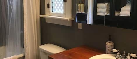 Une salle de bain équipée de toilettes, d’un lavabo, d’un miroir et d’un rideau de douche.