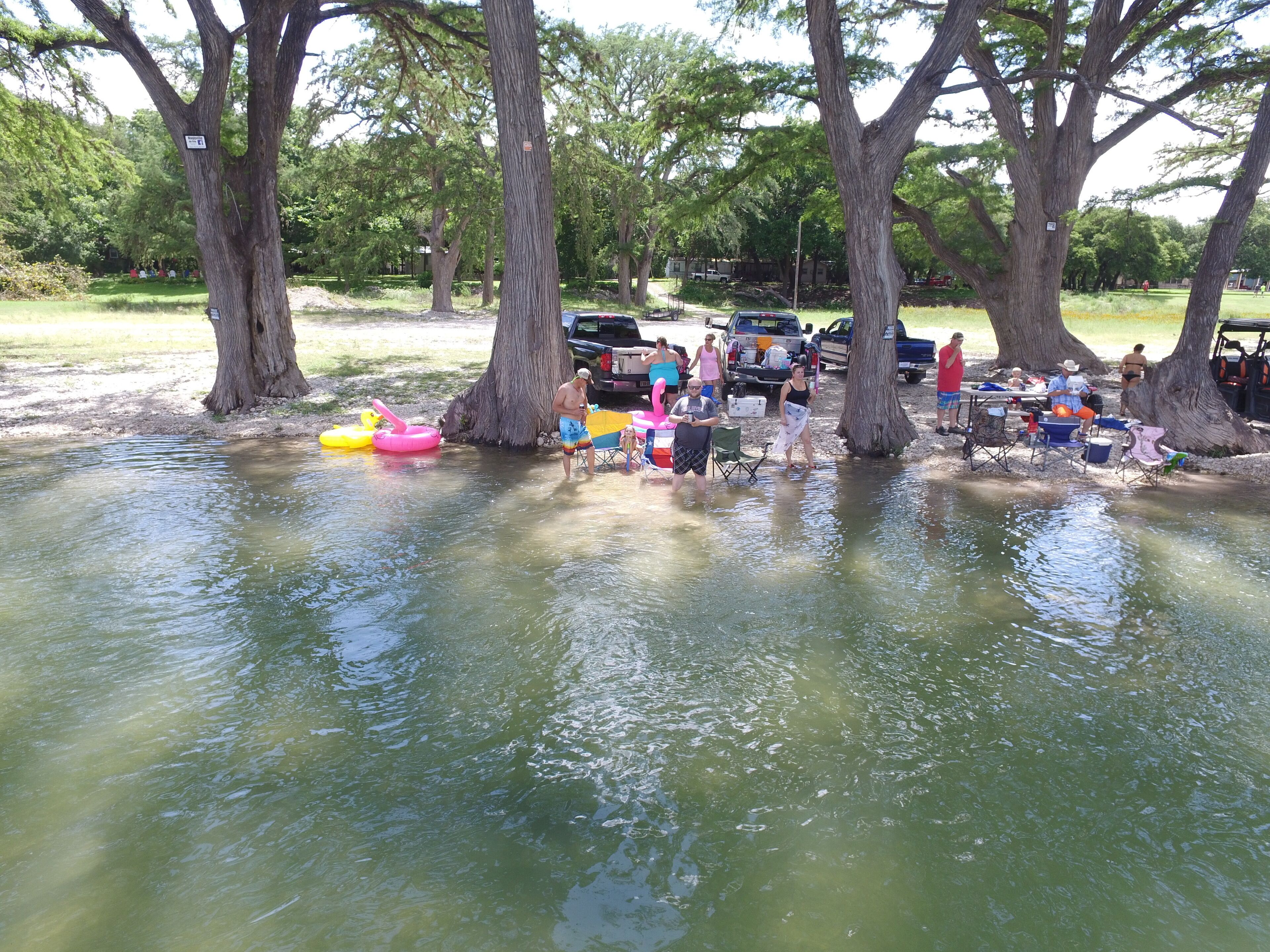 A group of people near a body of water with trees and vehicles in the background.