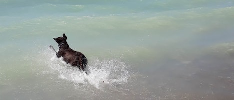 Plage