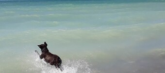 Peach of a private beach! Waterfront cliff cottage near Bayfield