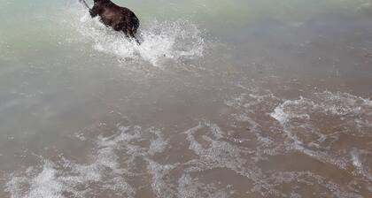 Wunderbares Seehaus mit eigenem Strand