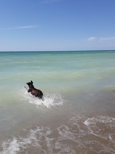 Peach of a private beach! Waterfront cliff cottage near Bayfield