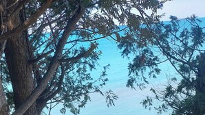A wooden staircase leading to a beach, surrounded by trees and pebbles. - Peach of a private beach! Waterfront cliff cottage near Bayfield (Zurich)