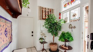 Un hall d’entrée accueillant, avec une porte blanche, un grand arbre en pot, une petite table sur laquelle est posée une plante, et un tapis coloré.