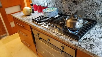 Full-sized fridge, microwave, oven, stovetop