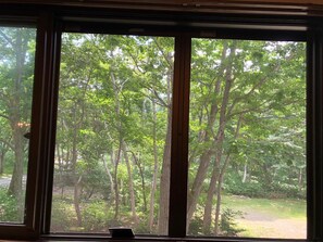 View from room