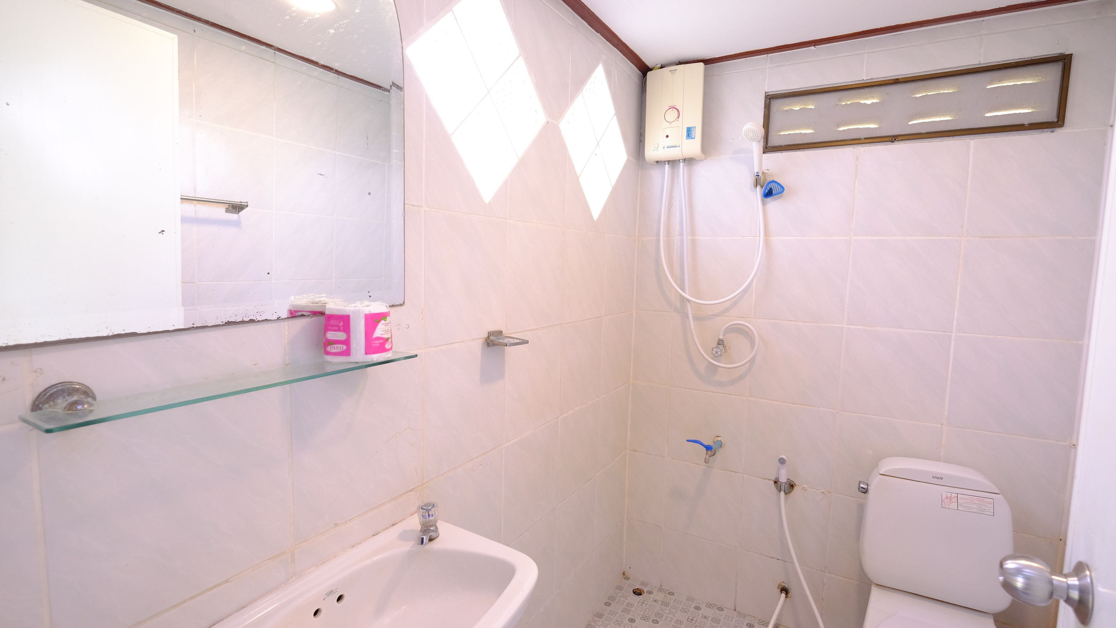 A bathroom with a white sink, a glass shelf with toiletries, a shower with a handheld showerhead, and a toilet.