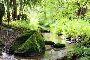 Uklassifisert bilde, 5 av 18, knapp