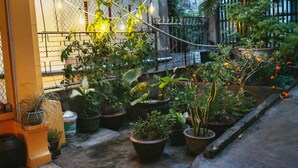 A garden with various potted plants and a wire fence.