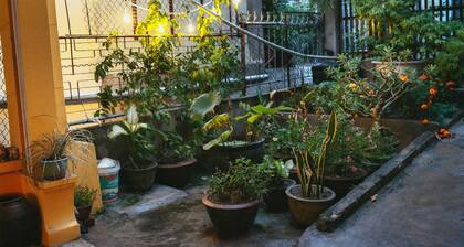 Herb's House