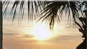 A sunset over a beach with palm trees and a road. - A Wave From It  All! (Galveston)
