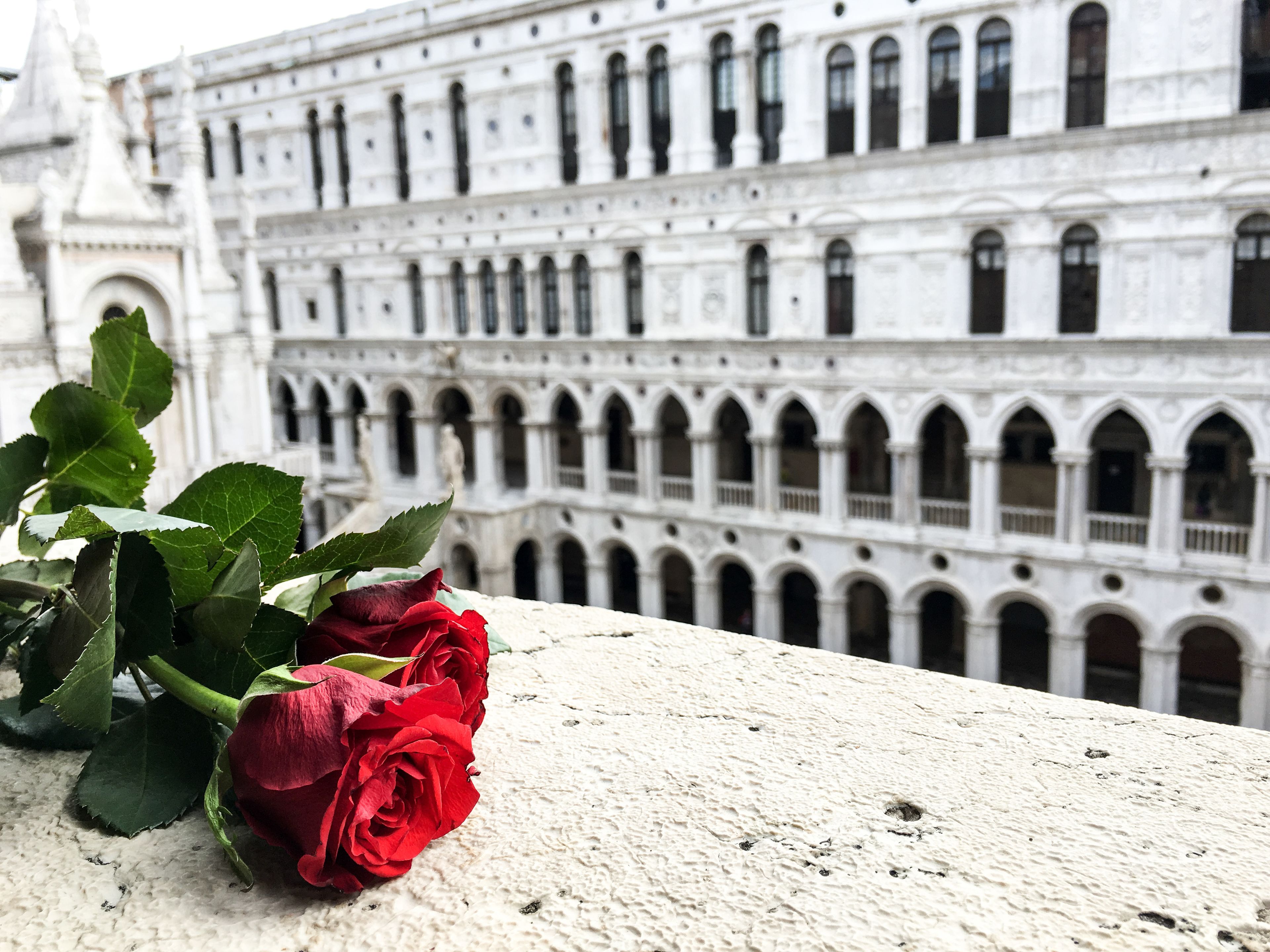 Uitzicht vanuit accommodatie