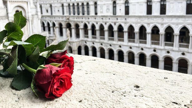 Una rosa roja sobre una superficie texturizada, con un edificio histórico al fondo.