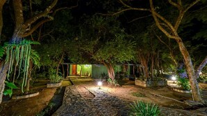 A nighttime outdoor area with a pathway, trees, and a building with illuminated windows. - Jays Holiday resort (Habarana)