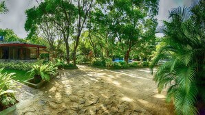 A house surrounded by lush greenery, a stone pathway, and a small pond. - Jays Holiday resort (Habarana)