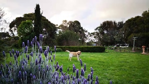 Family House | Garden view - Dalmere Estate (Sunbury)