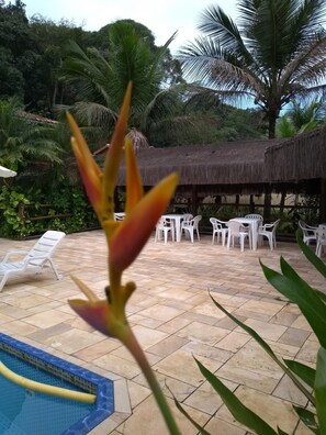 Indoor pool, open 9 AM to 8 PM, free pool cabanas, pool umbrellas - Rc Sol de Boiçucanga Suites (São Sebastião)