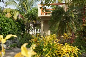 Garden - Tri Casa De Suenos Bed & Breakfast (San Pedro)