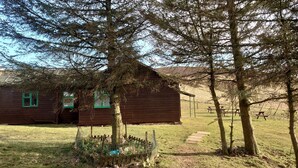 Eine rustikale Holzhütte mit einer Holzfassade, einer kleinen Veranda und einem Rasen mit Picknicktischen.
