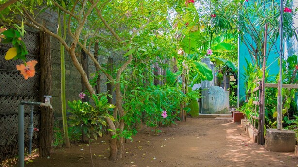 A garden pathway with trees and flowering plants. - Nilaveli Beach Inn (Nilaveli)