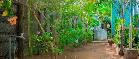 Two Bedrooms House | Terrace/patio