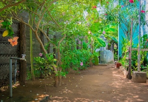 Ein Gartenweg mit Bäumen und blühenden Pflanzen.