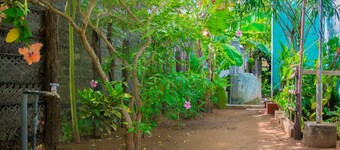 尼拉威里海灘旅館