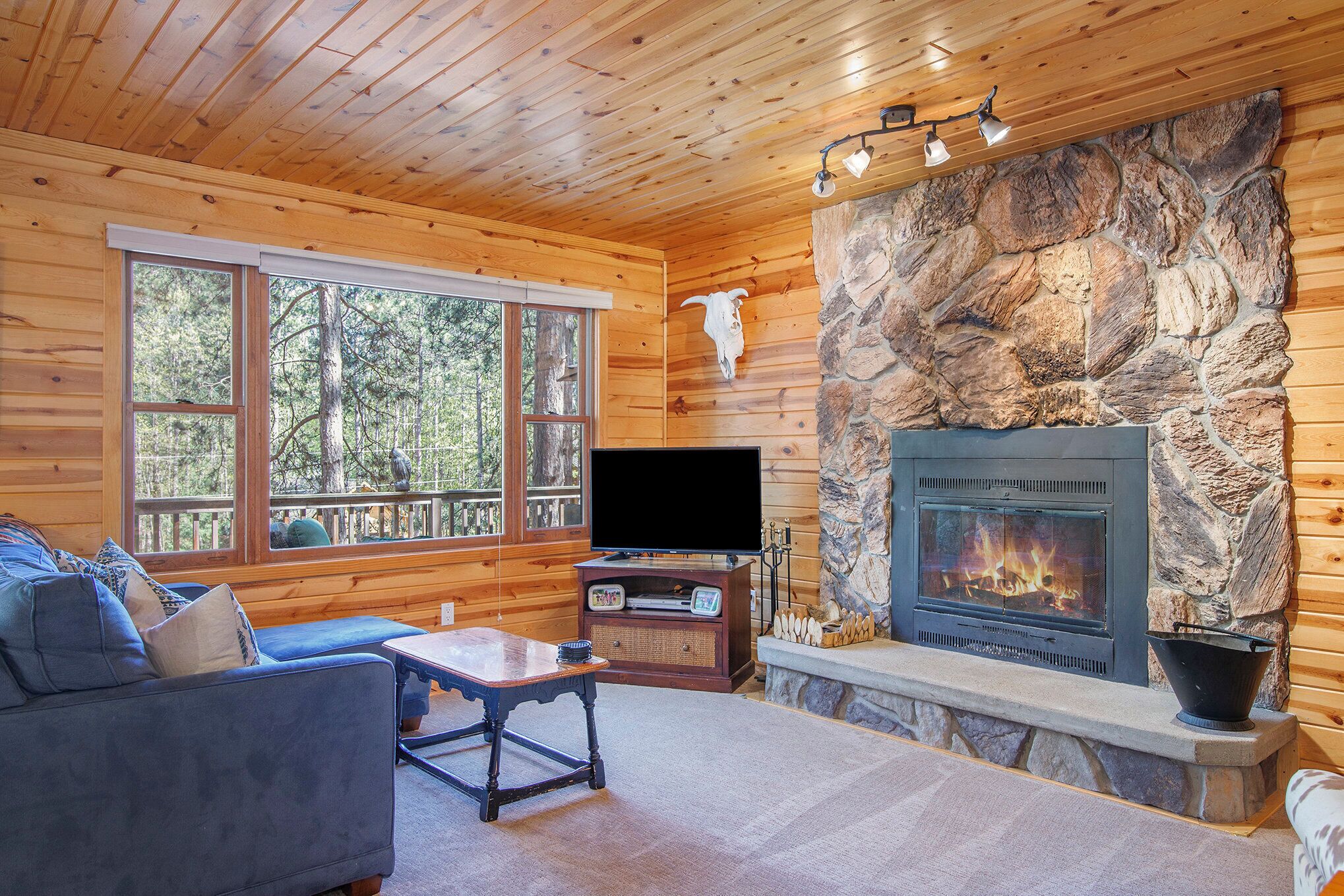 Smart TV, fireplace, DVD player, stereo