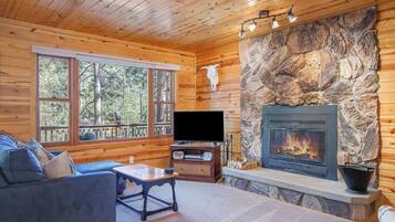 Smart TV, chimenea, reproductor de DVD y estéreo