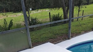 A swimming pool with a blue-tiled edge, surrounded by a white deck. - Free pool heat June, July, August Keyvilla-The Disney Retreat, 5 bed pool home.  (davenport)