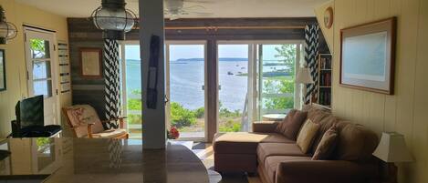 Televisión, reproductor de DVD, libros, biblioteca de música