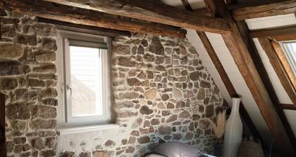 Large winegrower's house with character! In the heart of Alsace's vineyards(+190 m²)