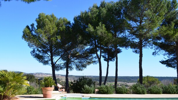 A pool area with tall trees and a clear view of the landscape. - Independent apartment in Languedoc villa with panoramic views (Combaillaux)