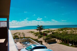 Property grounds - BEACHFRONT COMPLEX! ONLY STEPS TO THE OCEAN Full Kitchen Free parking (Pompano Beach)