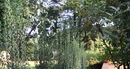 Tanglewood Farm - Tally Ho Suite 1 BR/1BA Private Apartment on Horse Farm