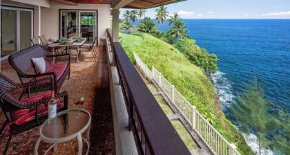 Absolute Oceanfront in Hilo! Read our Reviews! 