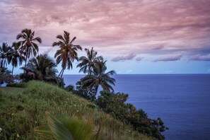 Unclassified image, 5 of 16, button - Absolute Oceanfront in Hilo! Read our Reviews!  (Hilo)