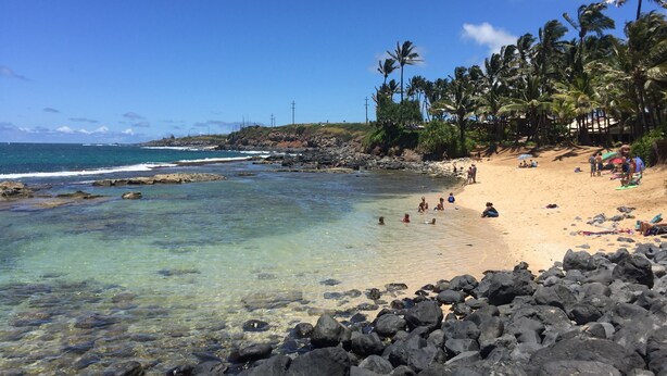 Une plage avec une eau cristalline, un rivage rocheux et des palmiers.