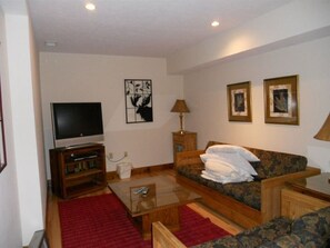 Télévision à écran plat, cheminée, lecteur de DVD