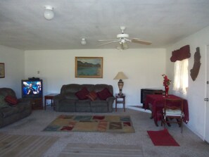 TV, fireplace, books